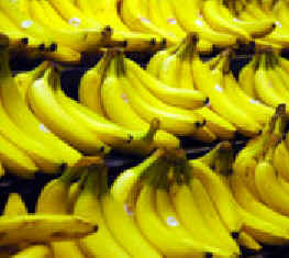 Banana is fruit with many uses.