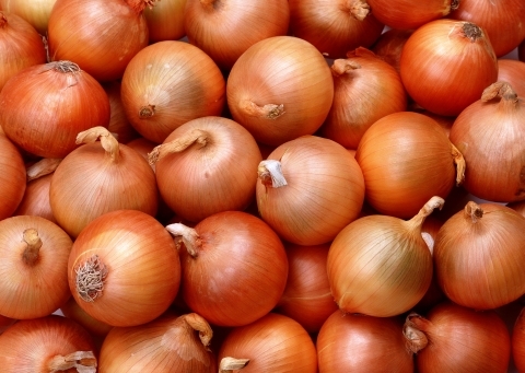 Onion